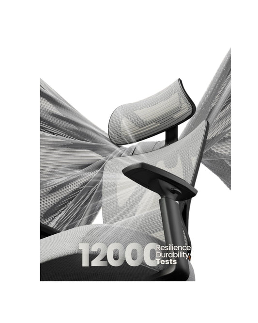 Best Ergonomic Chairs