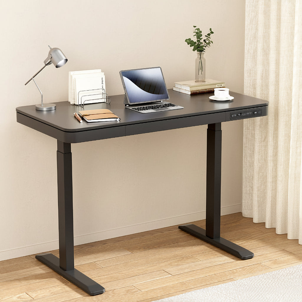 NNEDSZ Artiss Standing Desk Motorised Electric Motor Drawer 120CM Black-0