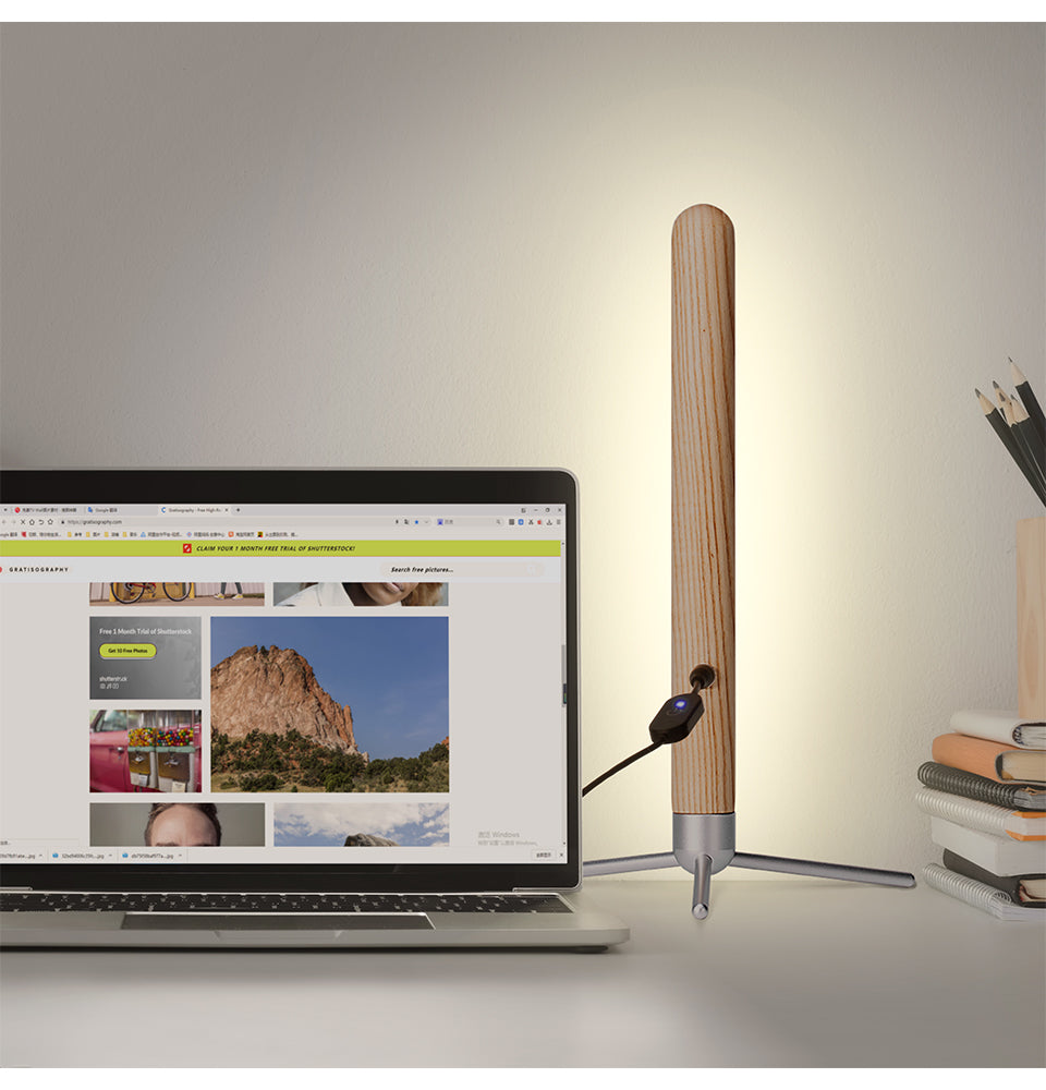 Vertical Wood Eye-Protection Desk Lamp-0